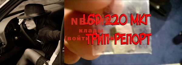 прущие грибы Верхнеуральск