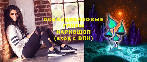 прущие грибы Верхнеуральск
