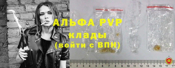 прущие грибы Верхнеуральск