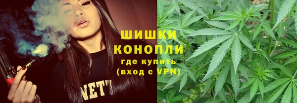 прущие грибы Верхнеуральск