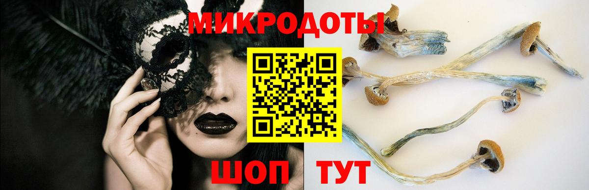 Псилоцибиновые грибы Cubensis Можайск